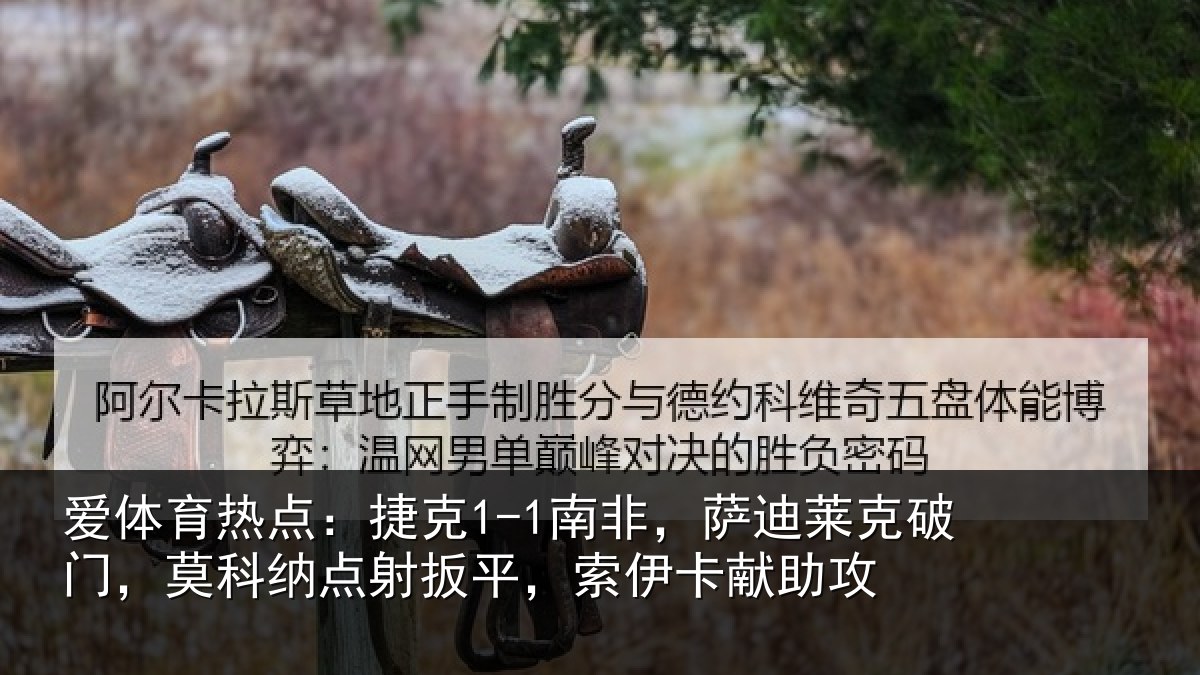 爱体育热点：捷克1-1南非，萨迪莱克破门，莫科纳点射扳平，索伊卡献助攻