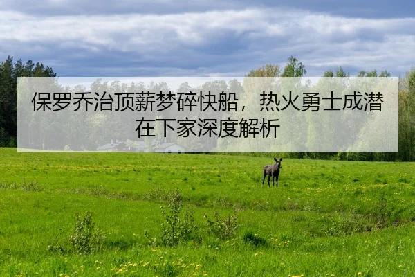 bao-luo-qiao-zhi-ding-xin-meng-sui-kuai-chuan-re-huo-yong-shi-cheng-qian-zai-xia-jia-shen-du-jie-xi-2-113.jpg