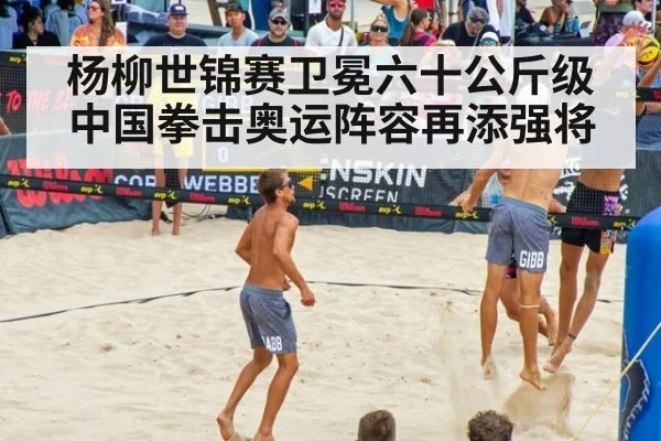 杨柳世锦赛卫冕六十公斤级 中国拳击奥运阵容再添强将